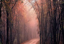 2024年中超联赛在哪里看直播？这些平台和观赛方式值得关注